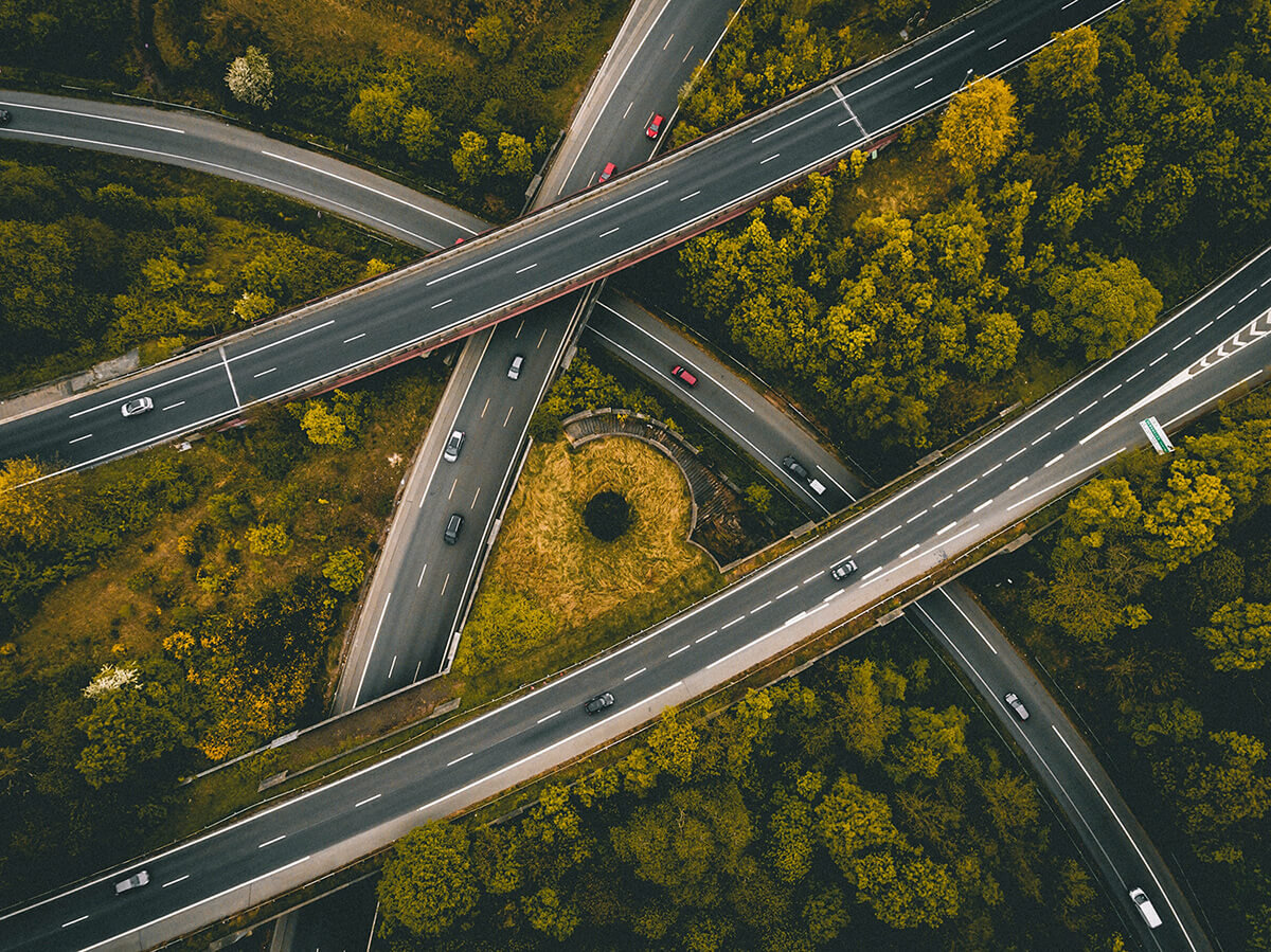 Roads and trees