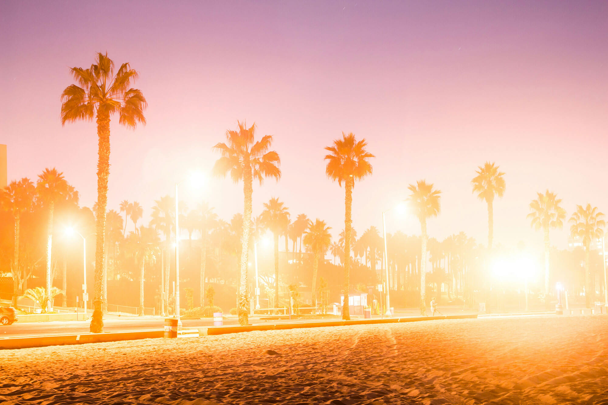 Palm trees GTA game style